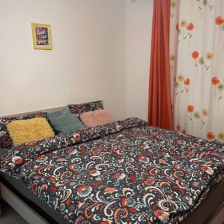 Good Vibes Apartment Câmpulung Moldovenesc Eksteriør billede